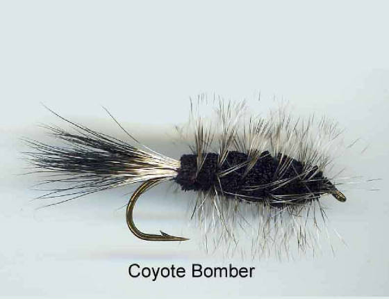 CoyoteBomber2.jpg