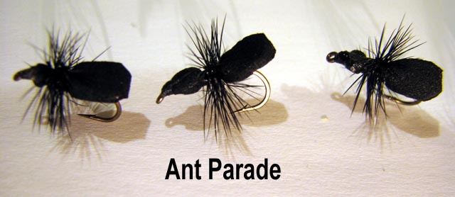 Ant-Parade.jpg