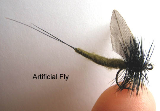 Flybody-Hook.jpg