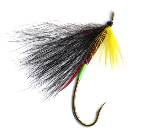 Alevin Salmon Pattern - Hawkins Outfitters - Northern Michigan Fly Fishing  and Wingshooting