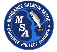 logo-MSA.jpg